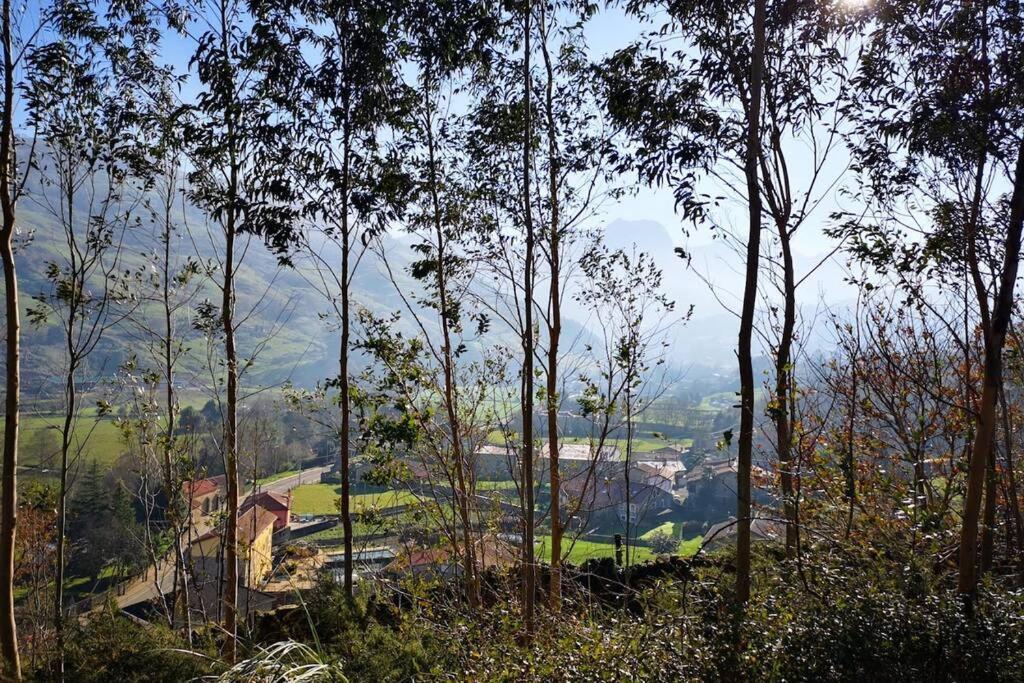 Mugidos Lejanos Villa La Vega  Buitenkant foto